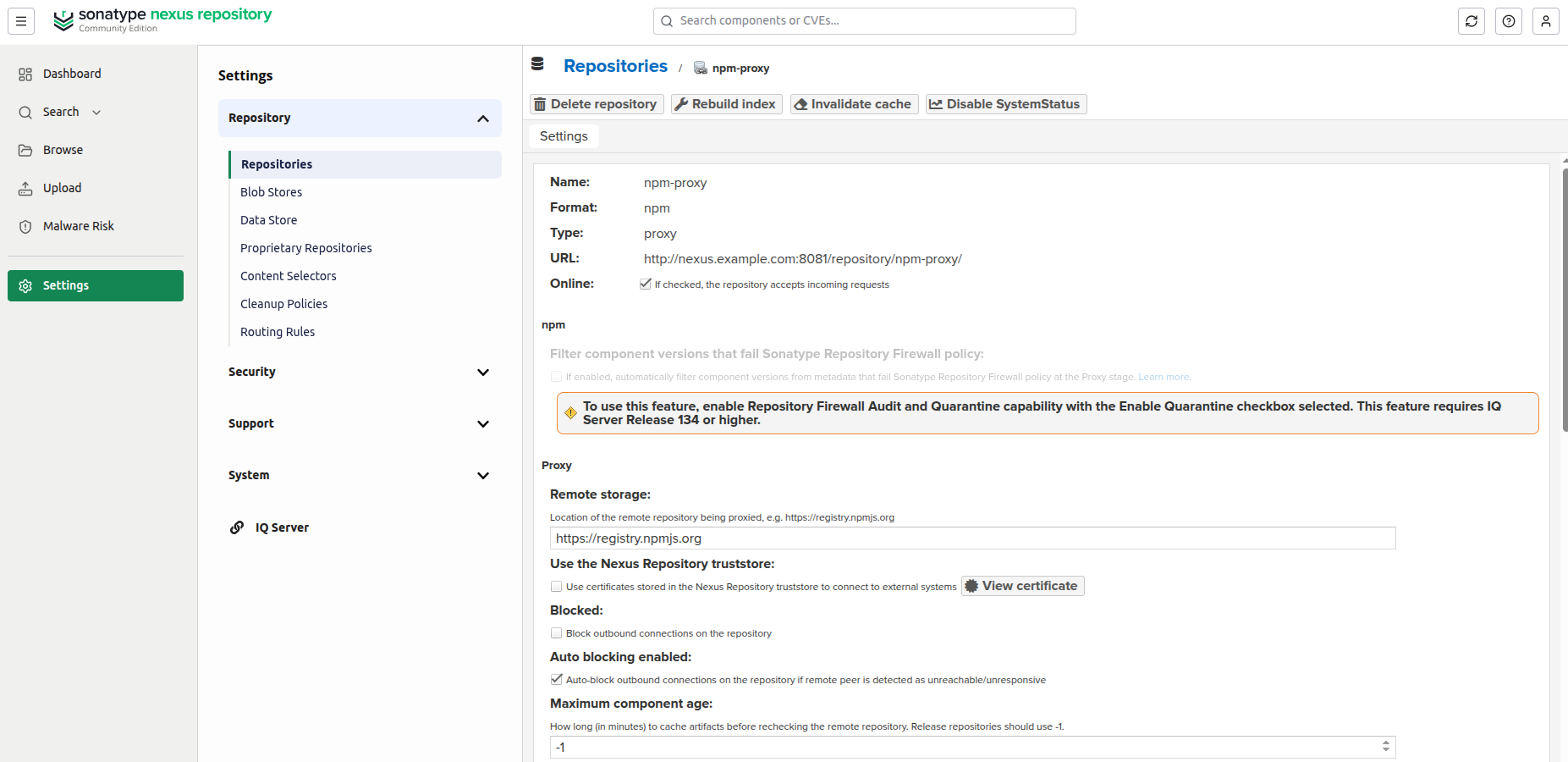 Sonatype Nexus repository details page showing the URL clients should use
