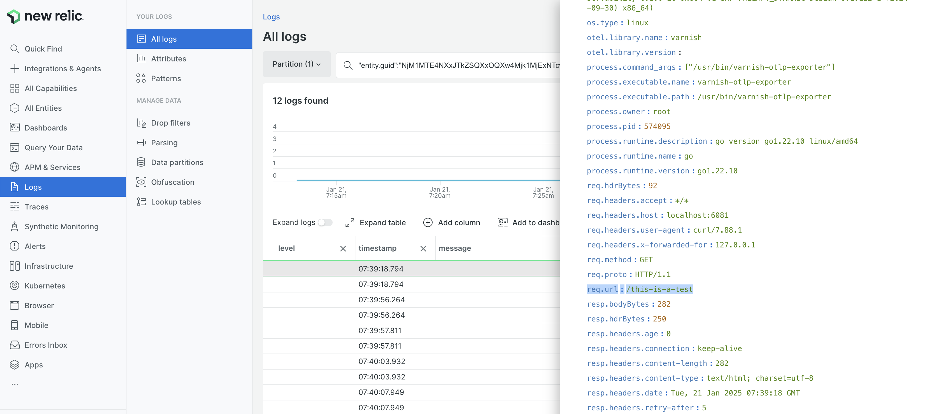 New Relic UI sample log