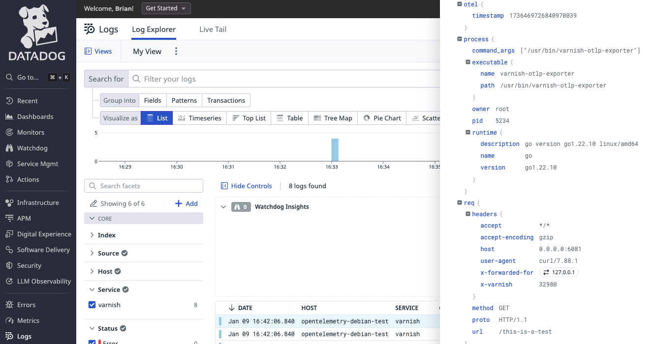 Screenshot of the Data Dog console showing the request